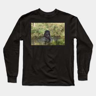 Wild Horse Long Sleeve T-Shirt